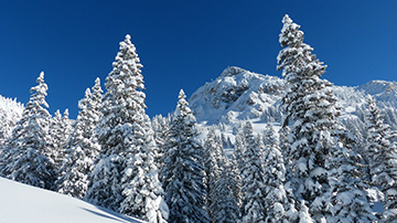 Winter scene in the Sierra Nevada mountains